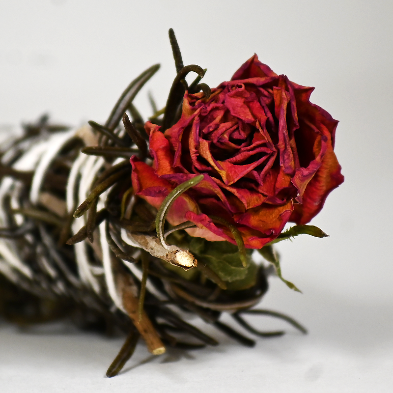 Bâtonnet Rose Menthe MASTA WON l'Essentiel Spirituel